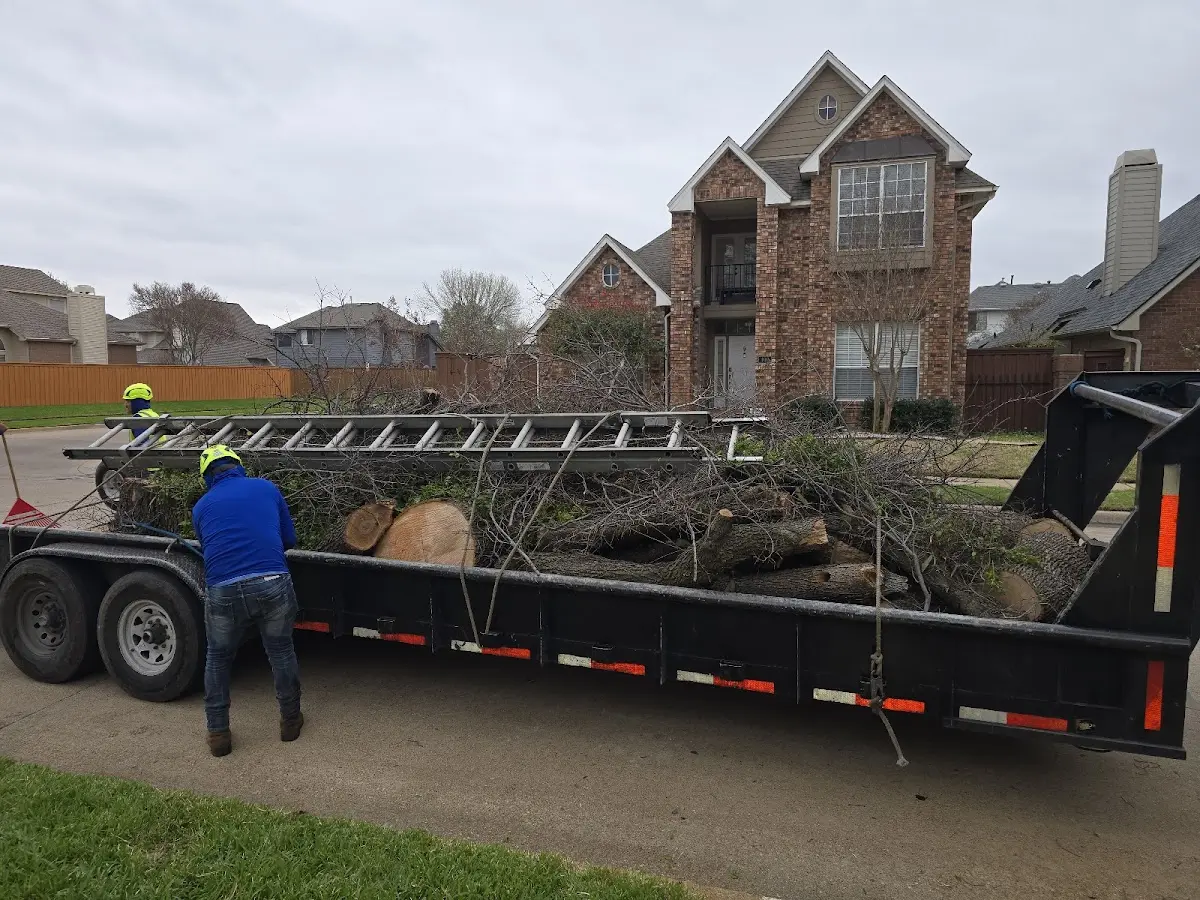 Expert Lot Clearing with proper safety equipment in Alba